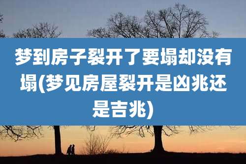 梦到房子裂开了要塌却没有塌(梦见房屋裂开是凶兆还是吉兆)