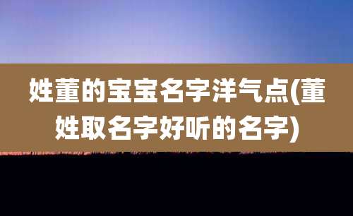 姓董的宝宝名字洋气点(董姓取名字好听的名字)