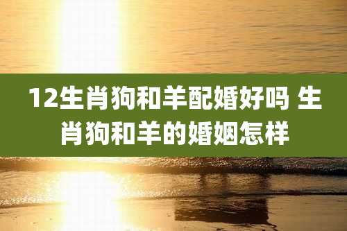 12生肖狗和羊配婚好吗 生肖狗和羊的婚姻怎样
