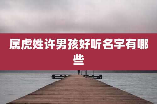 属虎姓许男孩好听名字有哪些