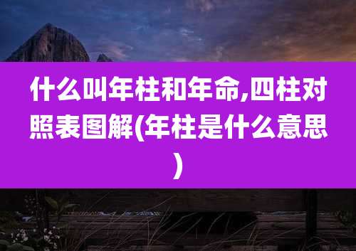 什么叫年柱和年命,四柱对照表图解(年柱是什么意思)