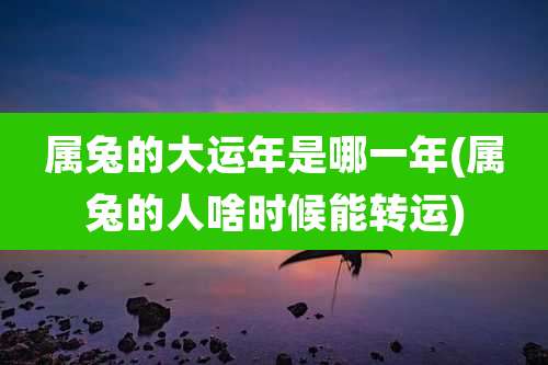 属兔的大运年是哪一年(属兔的人啥时候能转运)