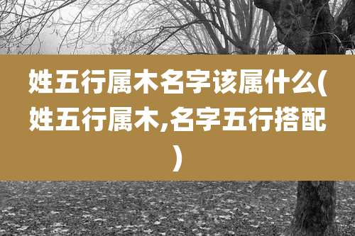 姓五行属木名字该属什么(姓五行属木,名字五行搭配)