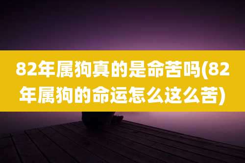 82年属狗真的是命苦吗(82年属狗的命运怎么这么苦)