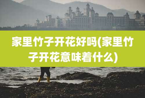 家里竹子开花好吗(家里竹子开花意味着什么)