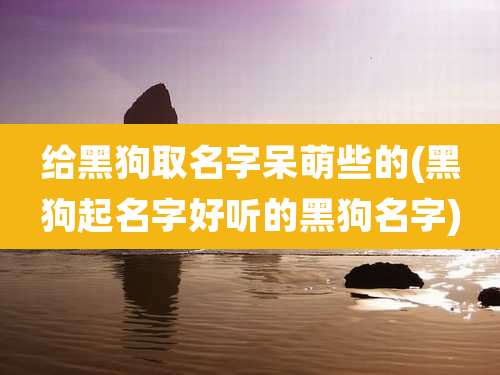 给黑狗取名字呆萌些的(黑狗起名字好听的黑狗名字)