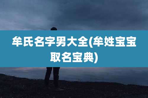 牟氏名字男大全(牟姓宝宝取名宝典)