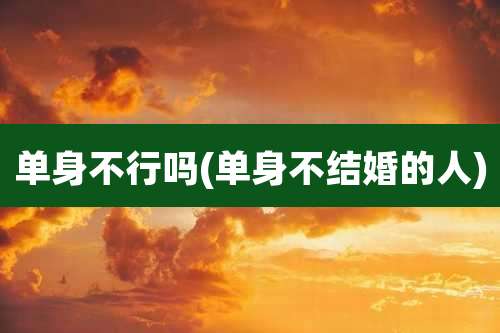 单身不行吗(单身不结婚的人)
