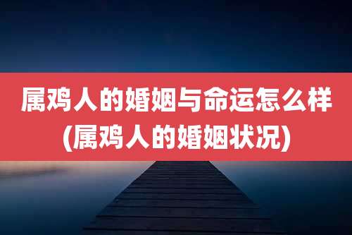 属鸡人的婚姻与命运怎么样(属鸡人的婚姻状况)