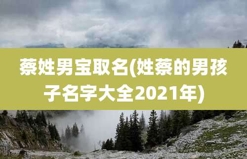 蔡姓男宝取名(姓蔡的男孩子名字大全2021年)