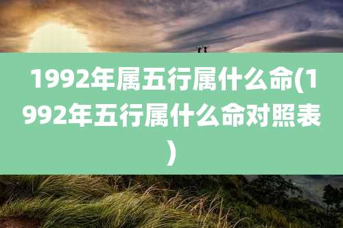 1992年属五行属什么命(1992年五行属什么命对照表)