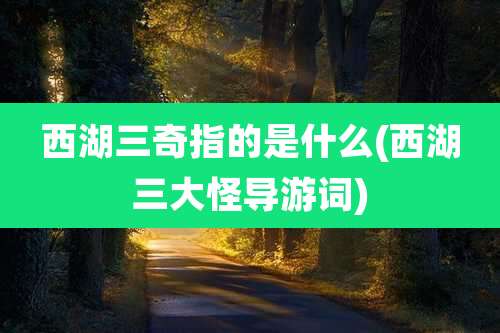 西湖三奇指的是什么(西湖三大怪导游词)