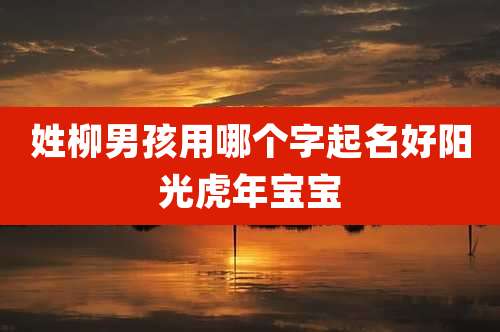 姓柳男孩用哪个字起名好阳光虎年宝宝