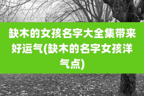 缺木的女孩名字大全集带来好运气(缺木的名字女孩洋气点)