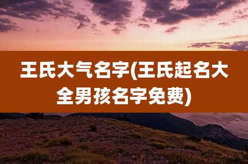 王氏大气名字(王氏起名大全男孩名字免费)