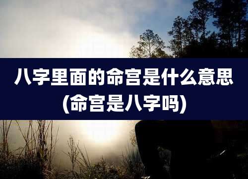 八字里面的命宫是什么意思(命宫是八字吗)