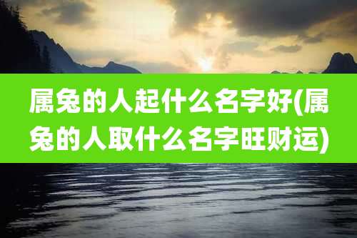 属兔的人起什么名字好(属兔的人取什么名字旺财运)