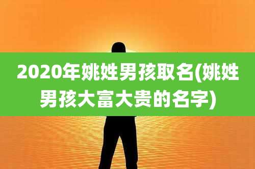 2020年姚姓男孩取名(姚姓男孩大富大贵的名字)
