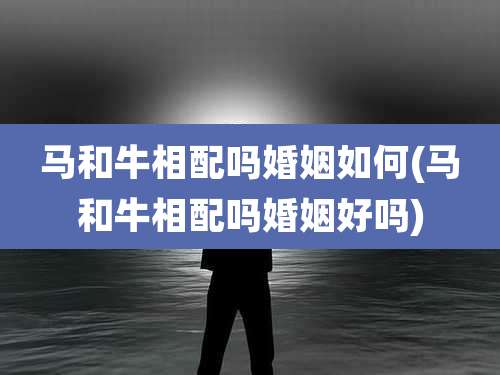 马和牛相配吗婚姻如何(马和牛相配吗婚姻好吗)