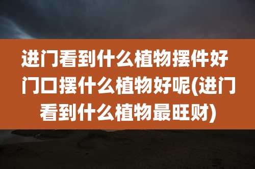 进门看到什么植物摆件好 门口摆什么植物好呢(进门看到什么植物最旺财)