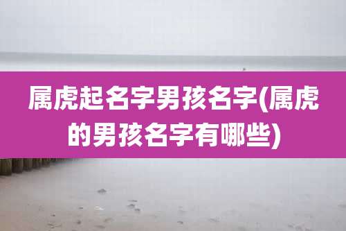 属虎起名字男孩名字(属虎的男孩名字有哪些)