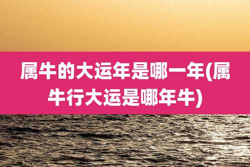 属牛的大运年是哪一年(属牛行大运是哪年牛)