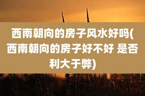 西南朝向的房子风水好吗(西南朝向的房子好不好 是否利大于弊)
