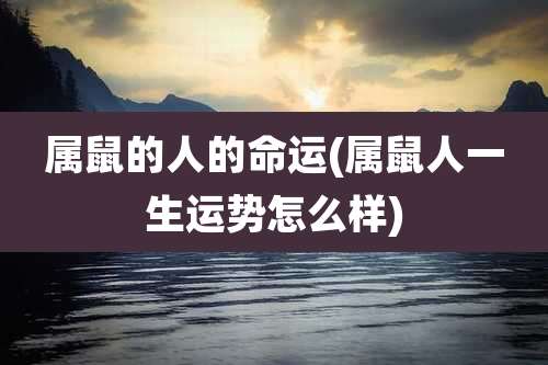 属鼠的人的命运(属鼠人一生运势怎么样)