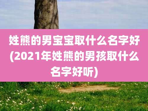 姓熊的男宝宝取什么名字好(2021年姓熊的男孩取什么名字好听)