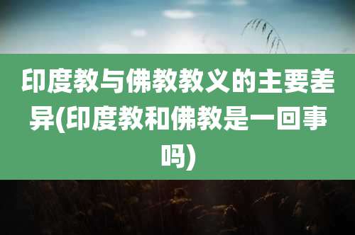 印度教与佛教教义的主要差异(印度教和佛教是一回事吗)