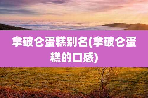 拿破仑蛋糕别名(拿破仑蛋糕的口感)