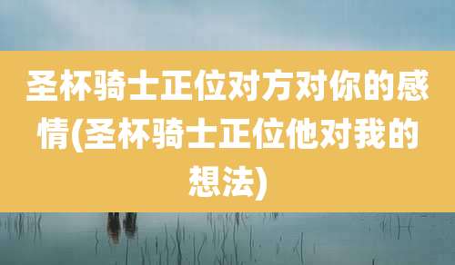 圣杯骑士正位对方对你的感情(圣杯骑士正位他对我的想法)