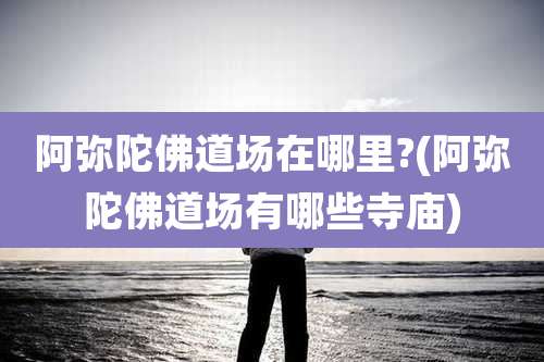 阿弥陀佛道场在哪里?(阿弥陀佛道场有哪些寺庙)