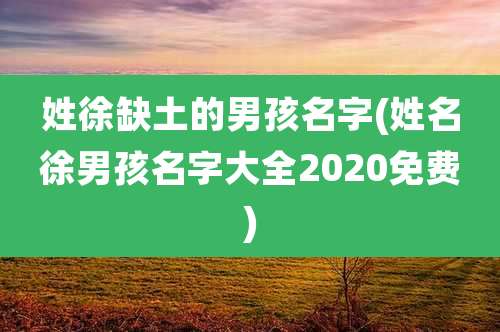 姓徐缺土的男孩名字(姓名徐男孩名字大全2020免费)