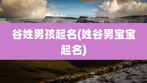 谷姓男孩起名(姓谷男宝宝起名)