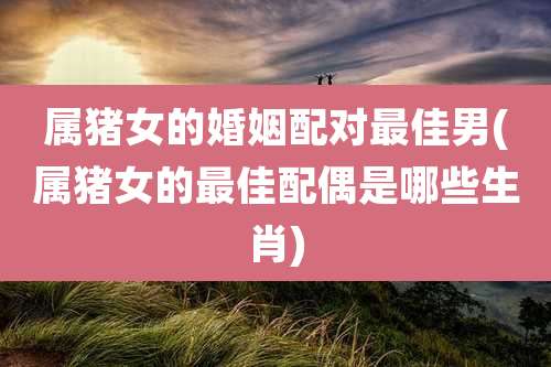 属猪女的婚姻配对最佳男(属猪女的最佳配偶是哪些生肖)
