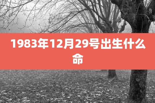 1983年12月29号出生什么命