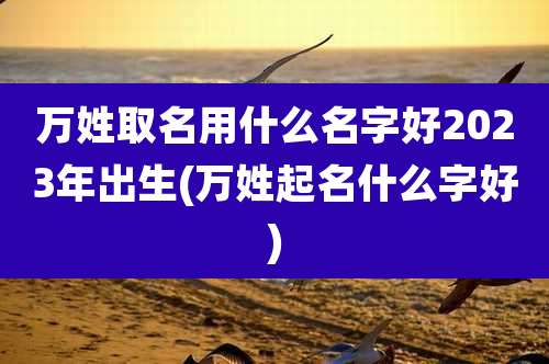 万姓取名用什么名字好2023年出生(万姓起名什么字好)