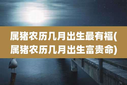 属猪农历几月出生最有福(属猪农历几月出生富贵命)