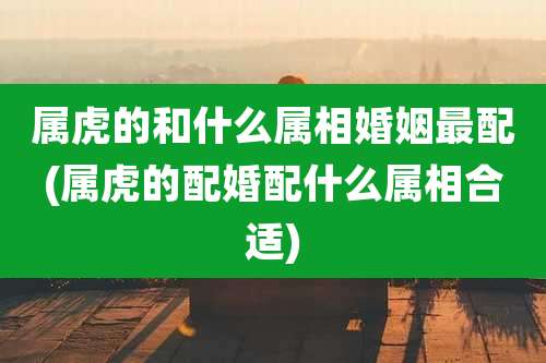 属虎的和什么属相婚姻最配(属虎的配婚配什么属相合适)