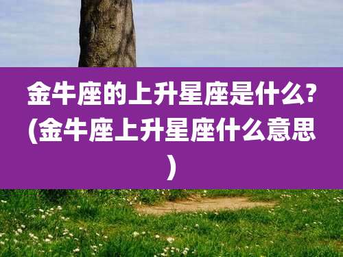 金牛座的上升星座是什么?(金牛座上升星座什么意思)