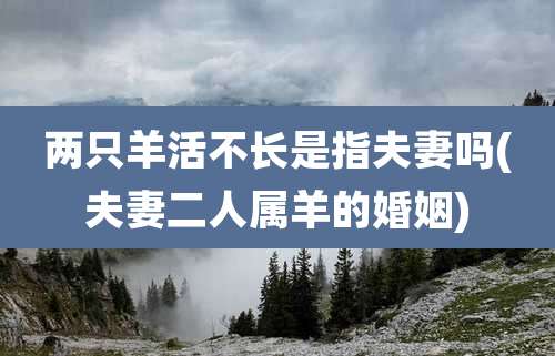 两只羊活不长是指夫妻吗(夫妻二人属羊的婚姻)