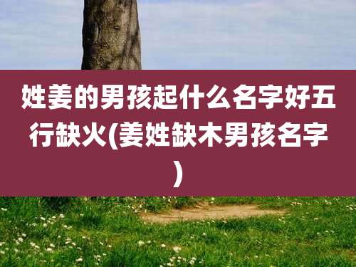 姓姜的男孩起什么名字好五行缺火(姜姓缺木男孩名字)