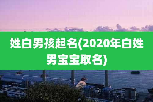姓白男孩起名(2020年白姓男宝宝取名)