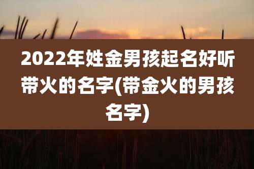 2022年姓金男孩起名好听带火的名字(带金火的男孩名字)