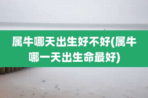 属牛哪天出生好不好(属牛哪一天出生命最好)