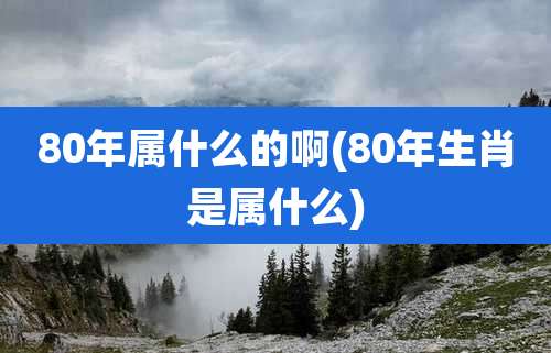 80年属什么的啊(80年生肖是属什么)