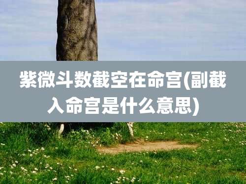 紫微斗数截空在命宫(副截入命宫是什么意思)