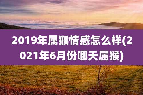 2019年属猴情感怎么样(2021年6月份哪天属猴)