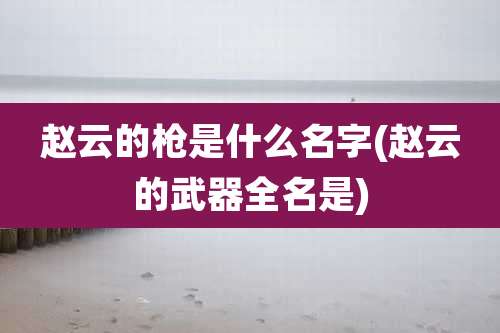 赵云的枪是什么名字(赵云的武器全名是)